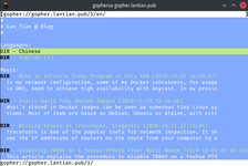 Illustration for Setting up Gopher Site with Nginx