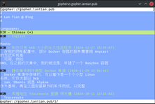 用 nginx 建立 Gopher 网站 的插图