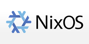 NixOS 系列（五）：制作小内存 VPS 的 DD 磁盘镜像 的插图